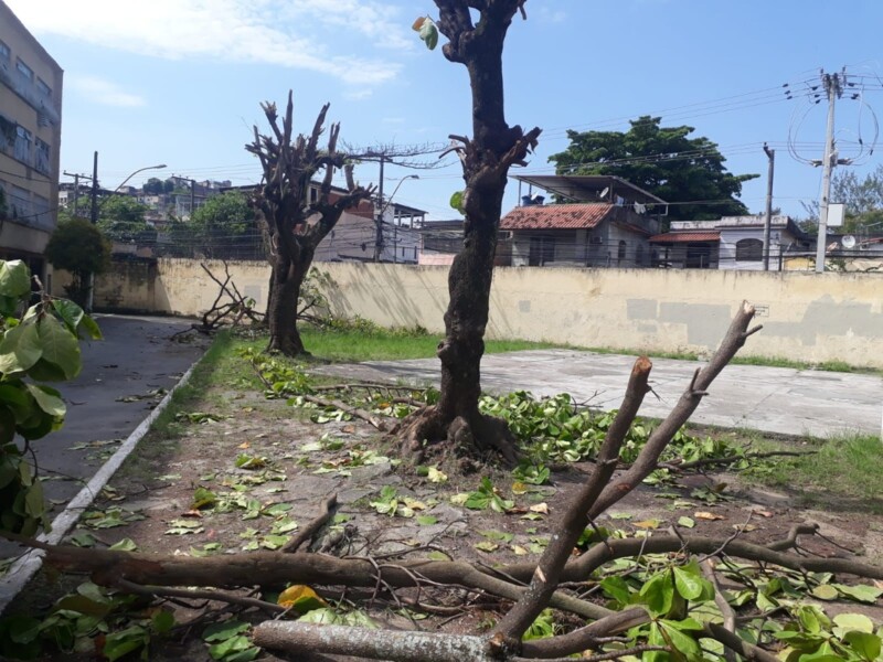 Policiais verificaram o corte e poda de árvores no condomínio no Fonseca