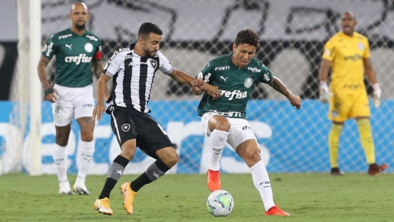 Uma das poucas vitórias do Botafogo na competição foi contra o Palmeiras, no primeiro turno