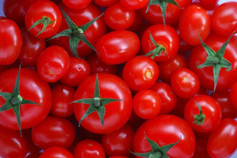 >> O preço do tomate caiu 19% em relação a semana passada